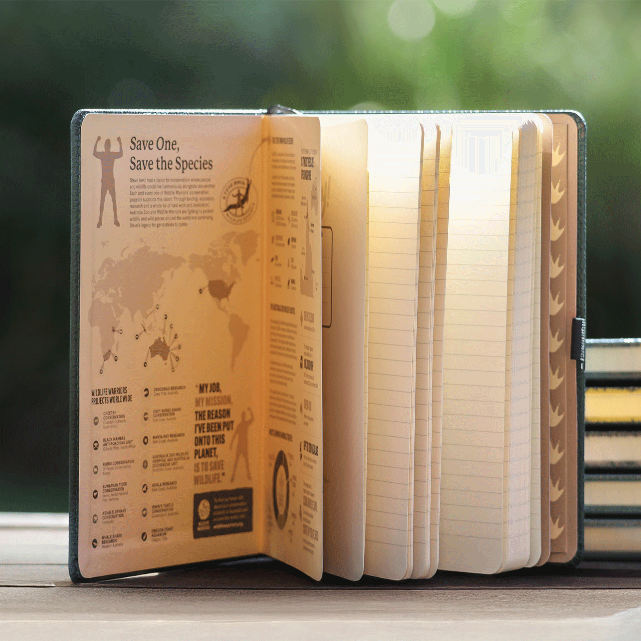 Australia Zoo Green Dingbats Journal