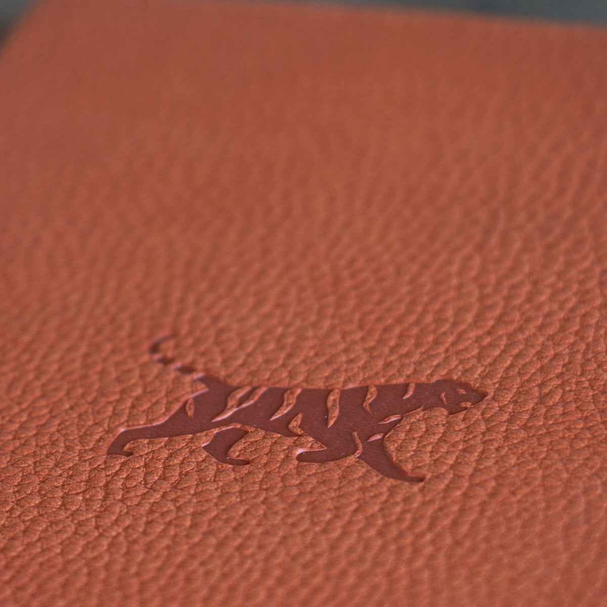 Tiger Orange Dingbats Journal