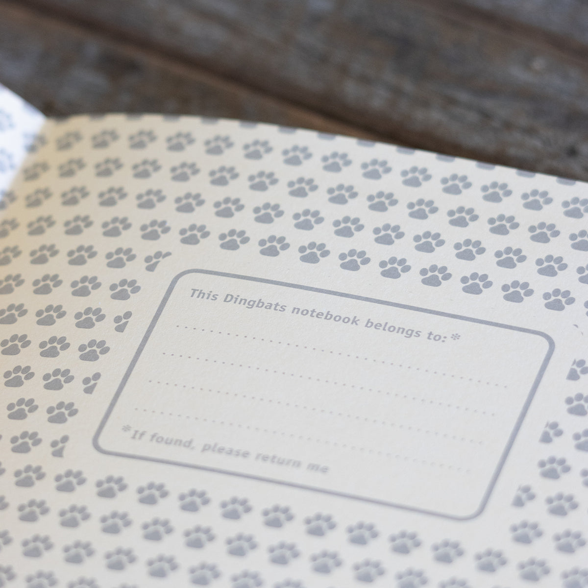 Tiger Orange Dingbats Journal
