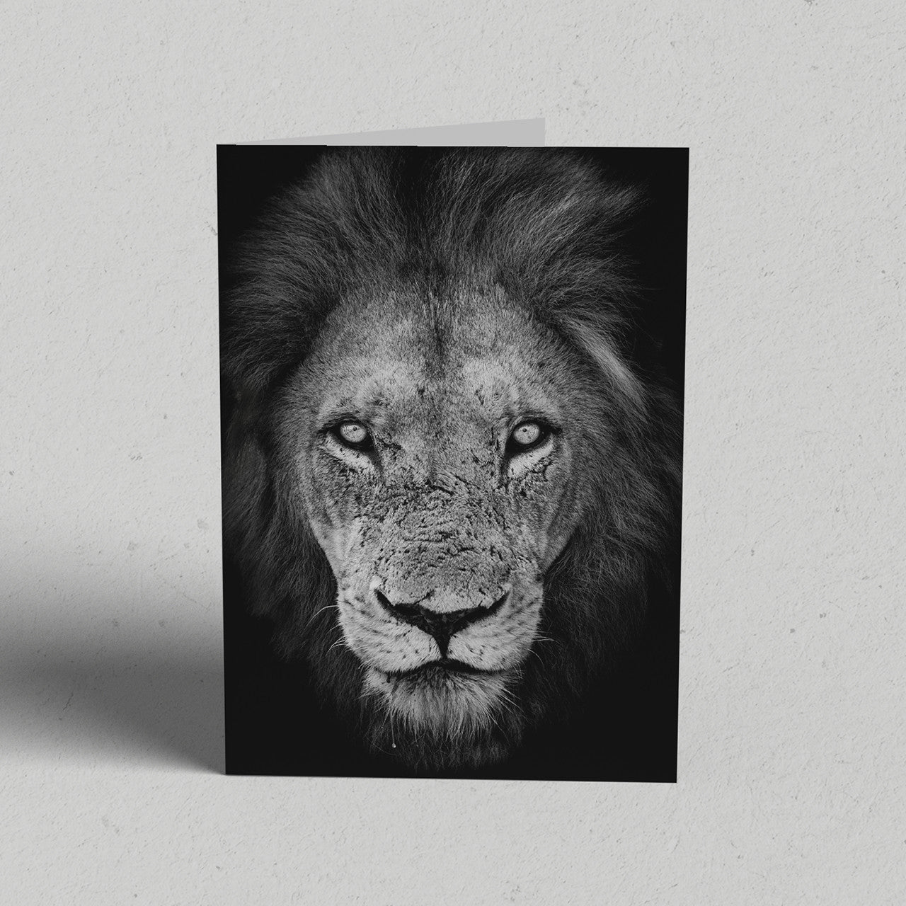 Land Gift Pack of 10 Greeting Cards