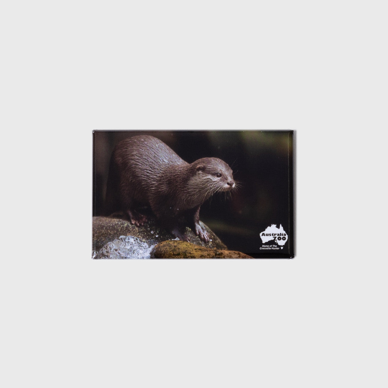 Otter Small Landscape Magnet