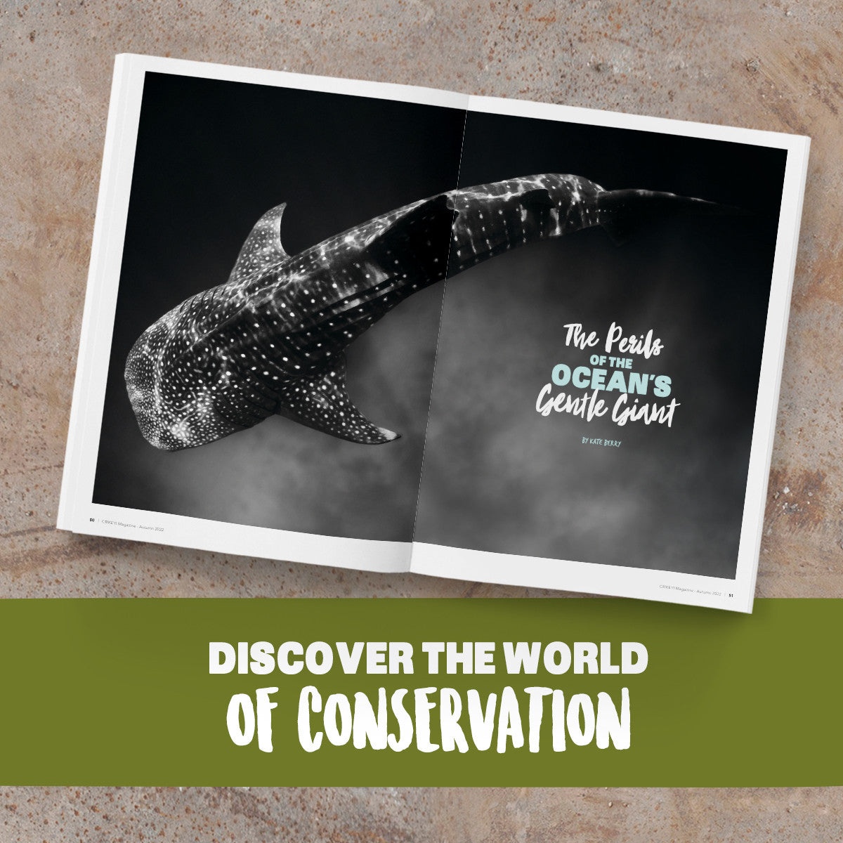 Crikey! Magazine Issue 61