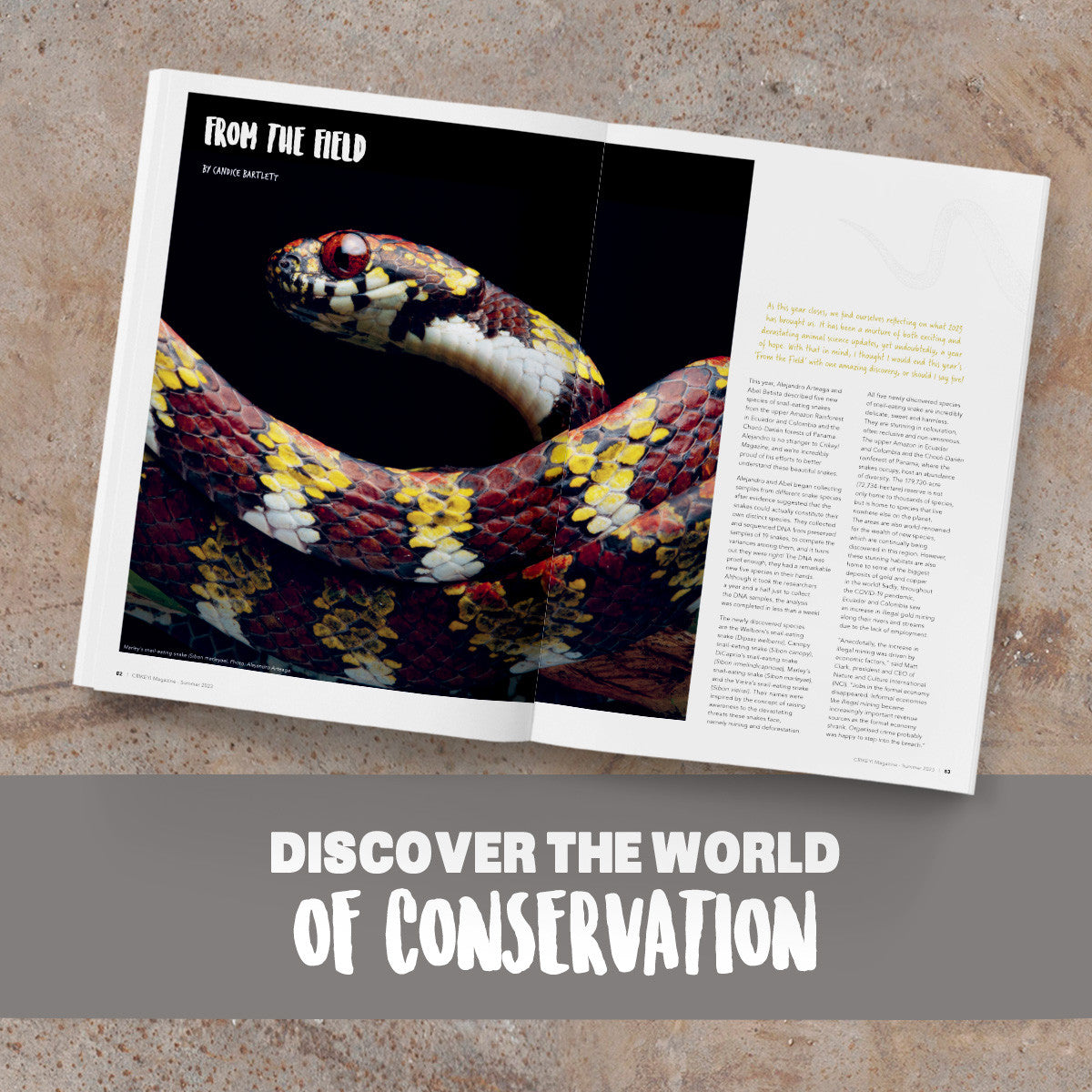 Crikey! Magazine Issue 68