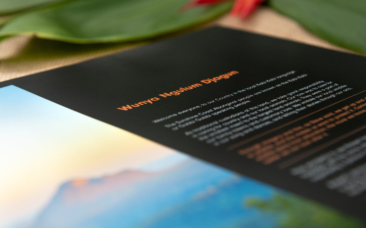 Robert Irwin Australia Book