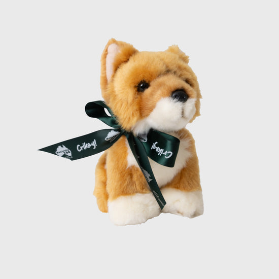 Lil Friends Dingo with Australia Zoo Ribbon