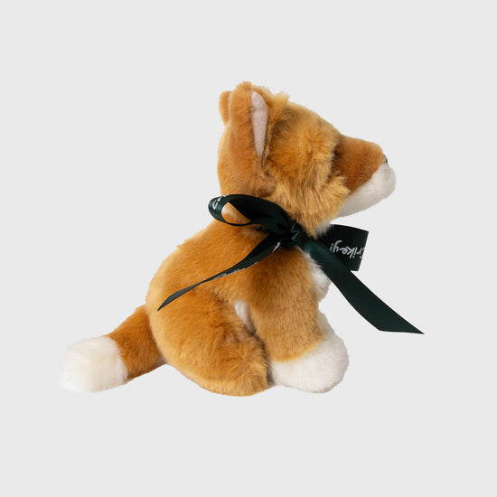 Lil Friends Dingo with Australia Zoo Ribbon