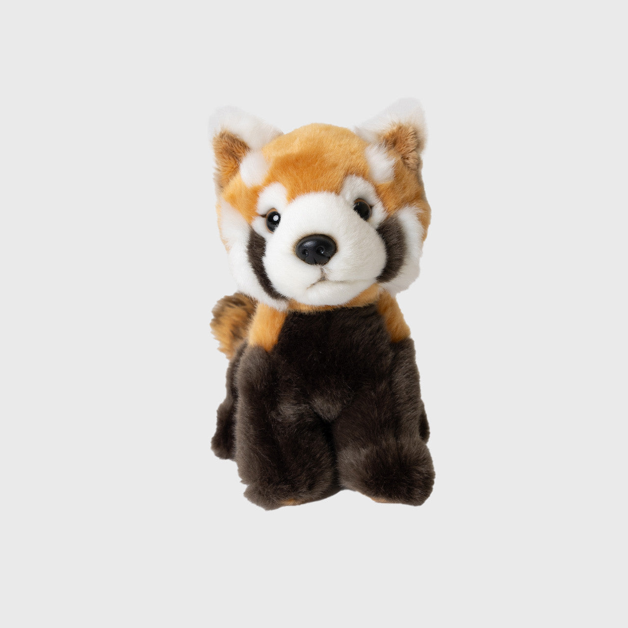 Lil Friends Red Panda with Australia Zoo Ribbon