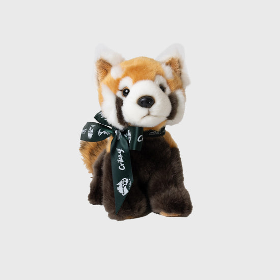 Lil Friends Red Panda with Australia Zoo Ribbon