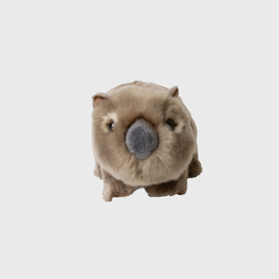 Lil Friends Wombat with Australia Zoo Ribbon
