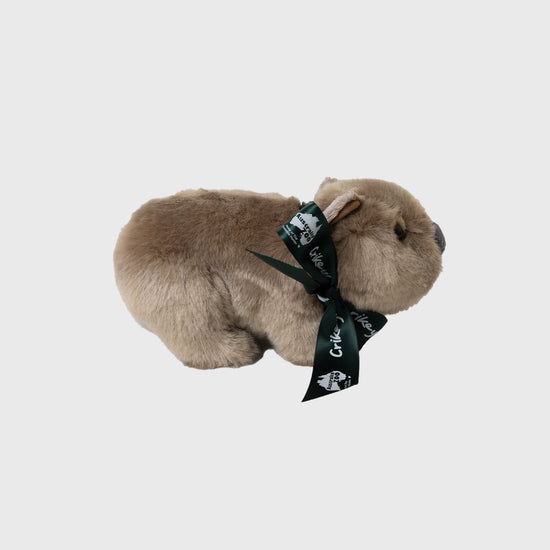 Lil Friends Wombat with Australia Zoo Ribbon