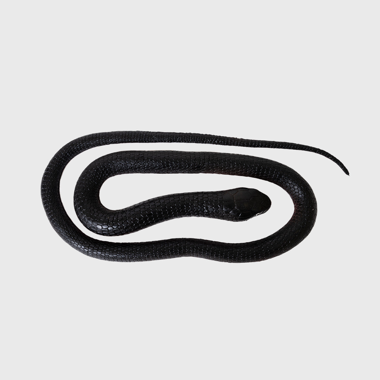 Rubber Snake Green or Black  72 inch