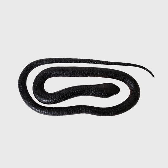 Rubber Snake Green or Black  72 inch