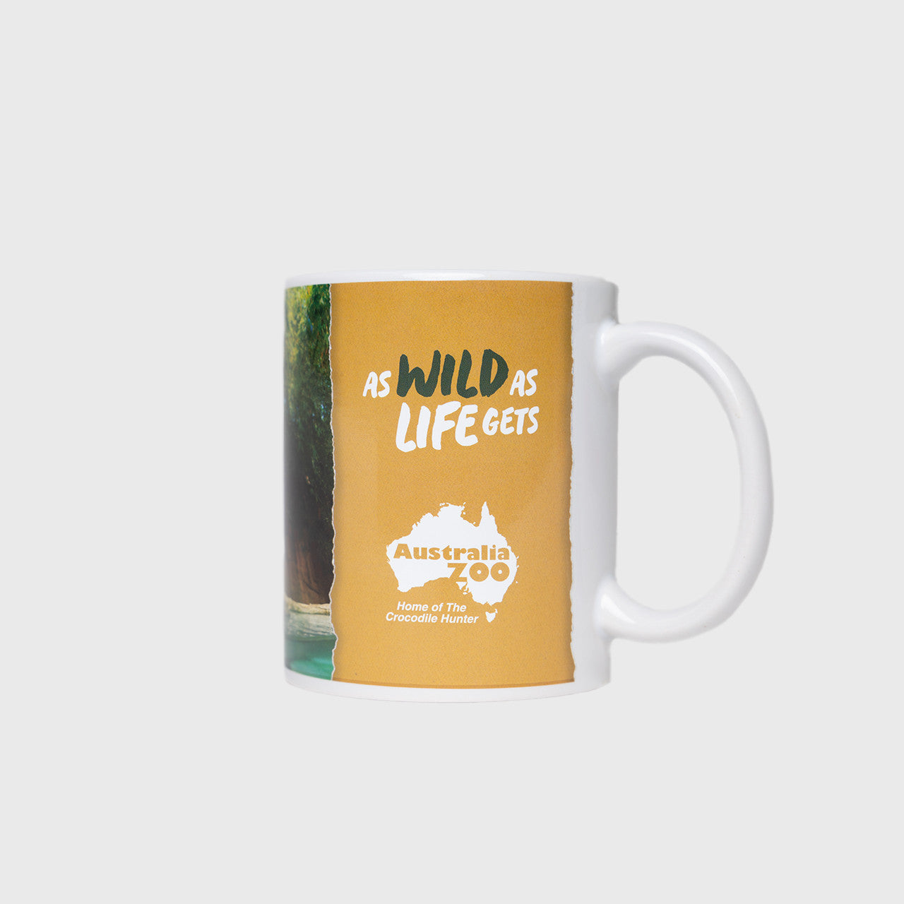 Tigers Mug