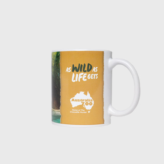 Tigers Mug