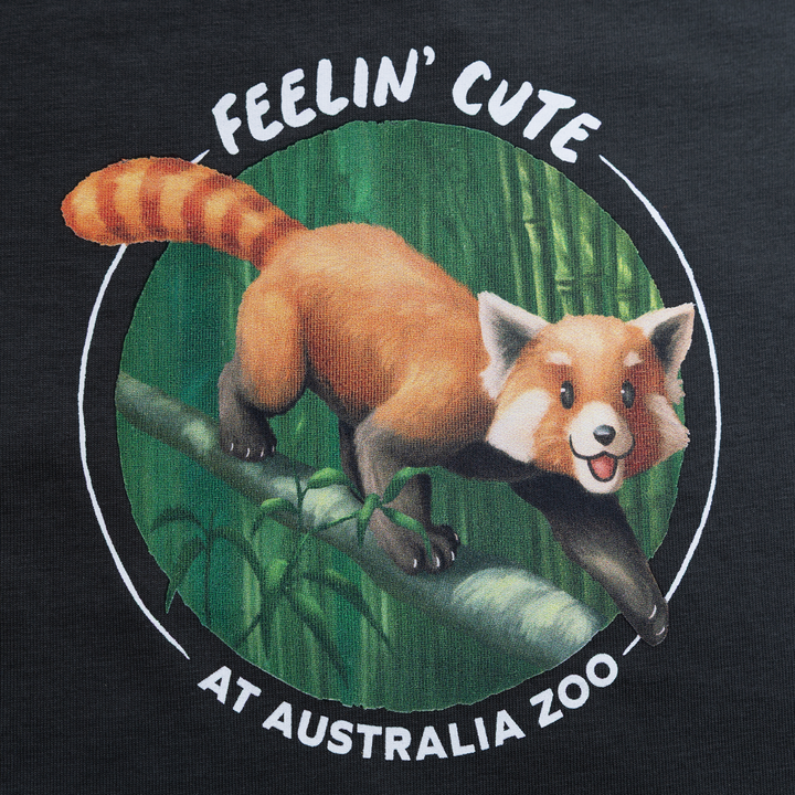 Feelin Cute Charcoal Tshirt