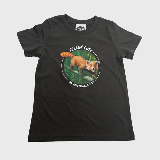 Feelin Cute Charcoal Tshirt
