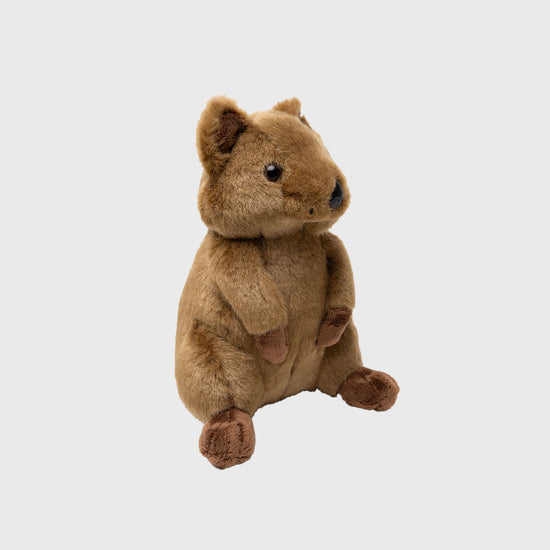 Australian Made Quokka