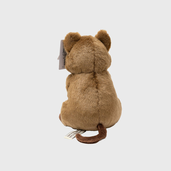 Australian Made Quokka
