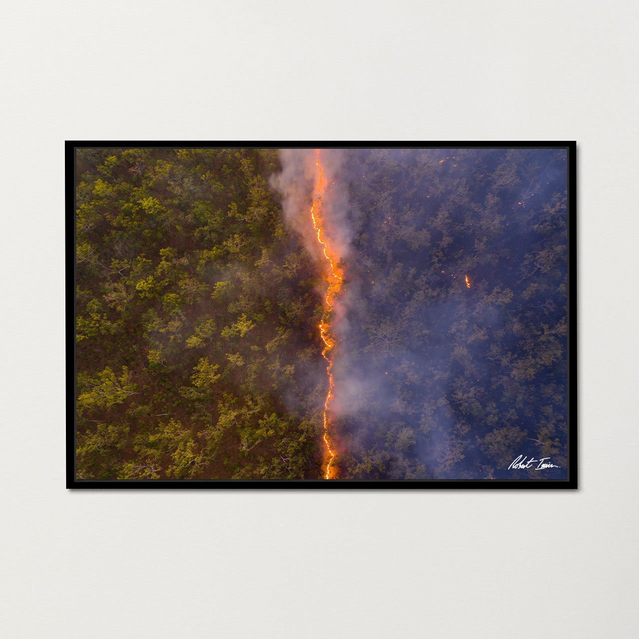 Premium Framed Metal Print - Bushfire