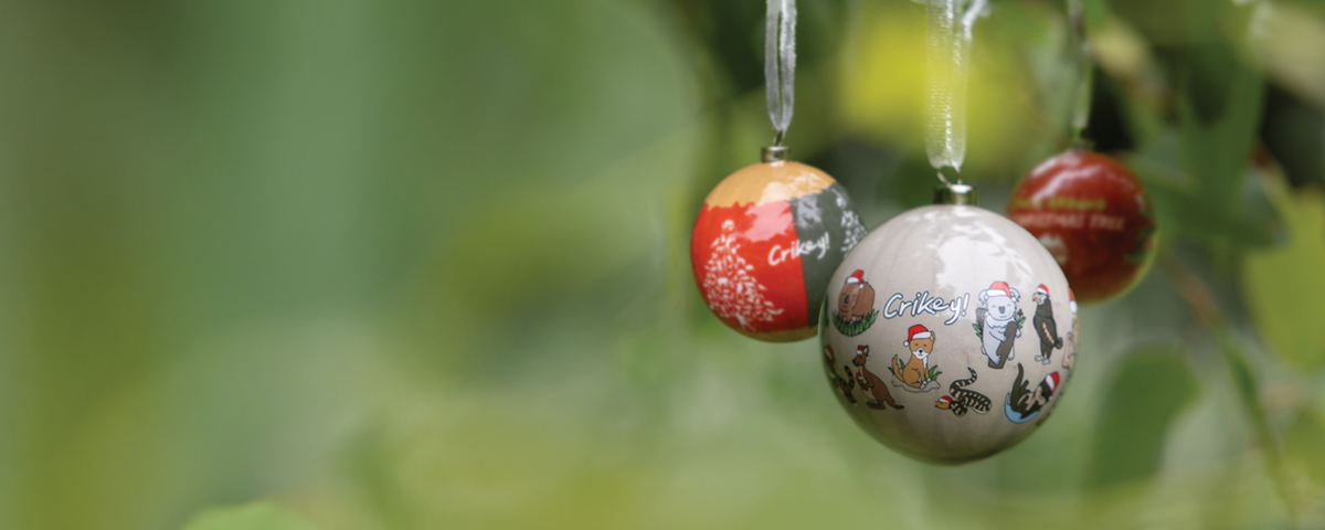 Christmas Delivery Times