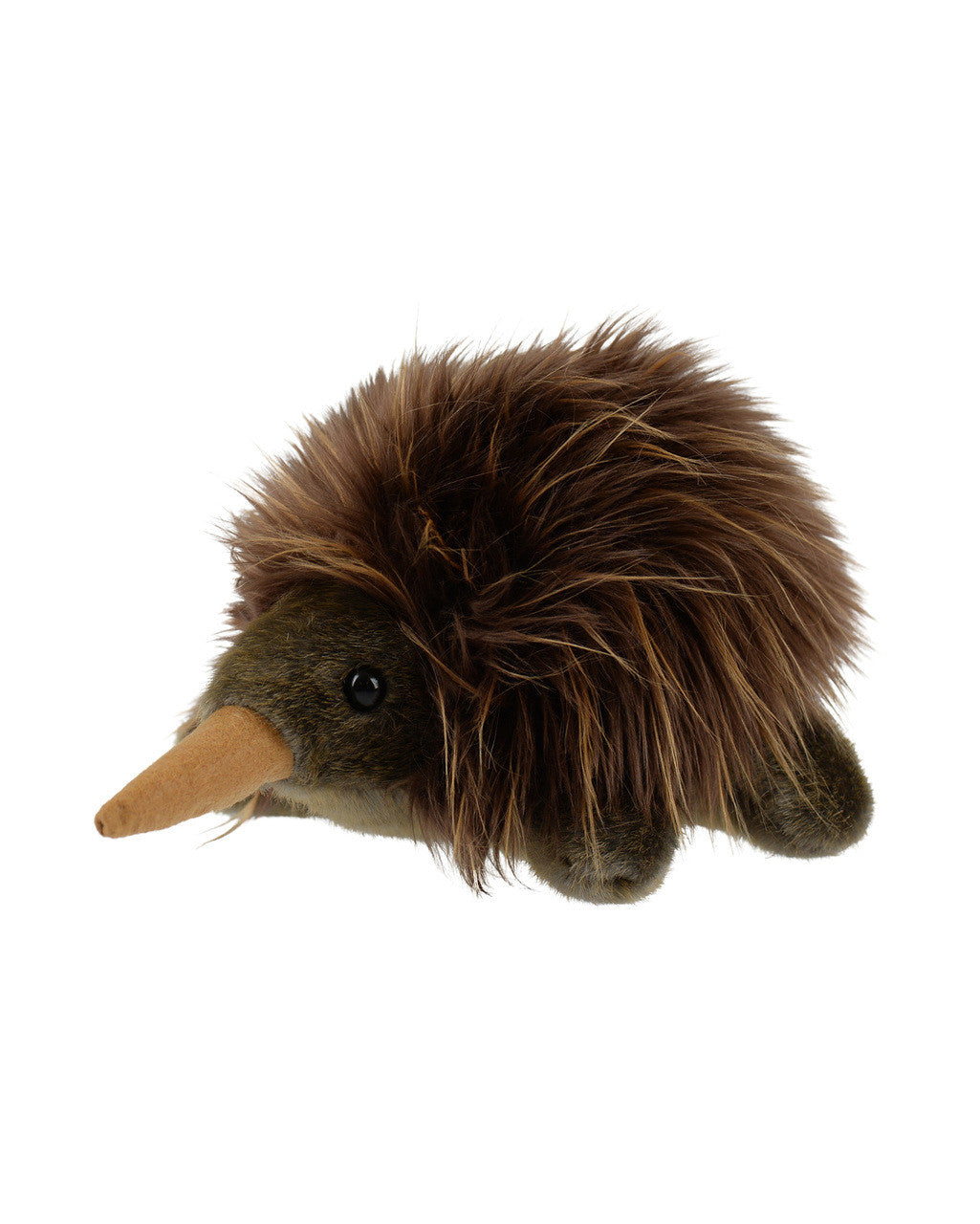 Australian Made Push Toy - Echidna – Australia Zoo Operations Pty Ltd