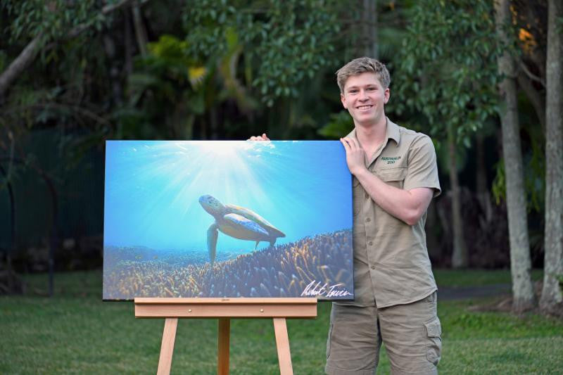 Robert Irwin Large Canvas - Sea Turtle
