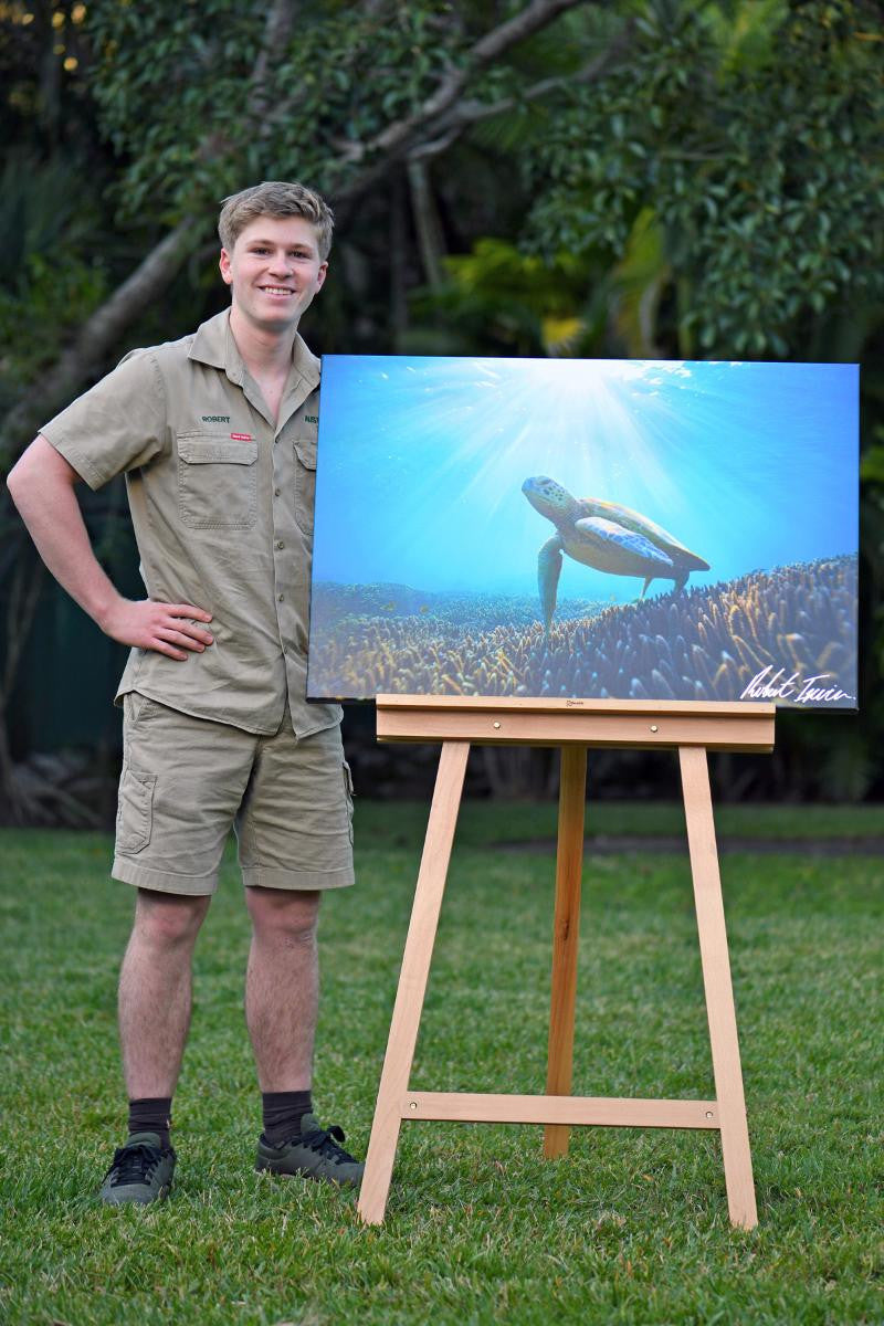 Robert Irwin Large Canvas - Sea Turtle