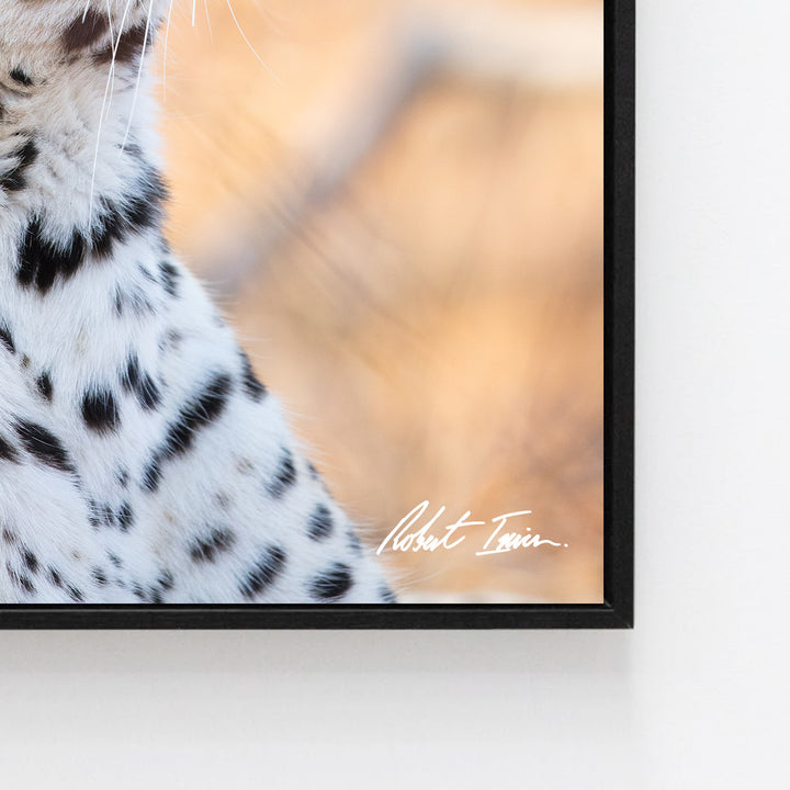 Premium Framed Metal Print - Leopard
