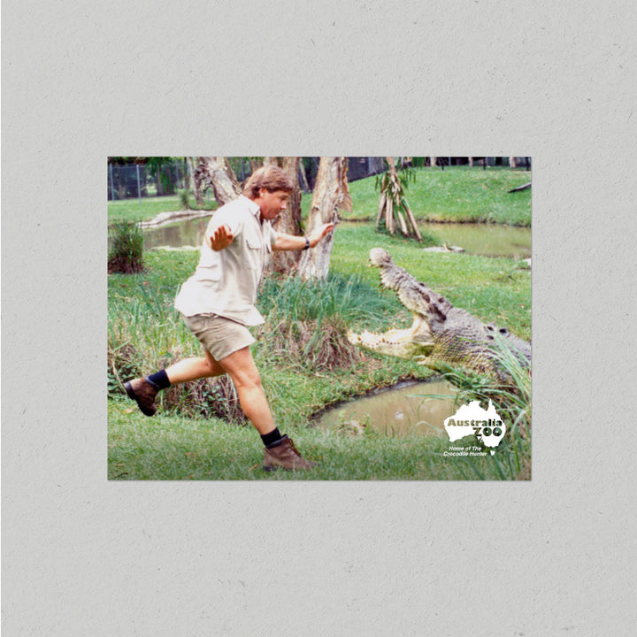 Steve with Crocodile Postcard