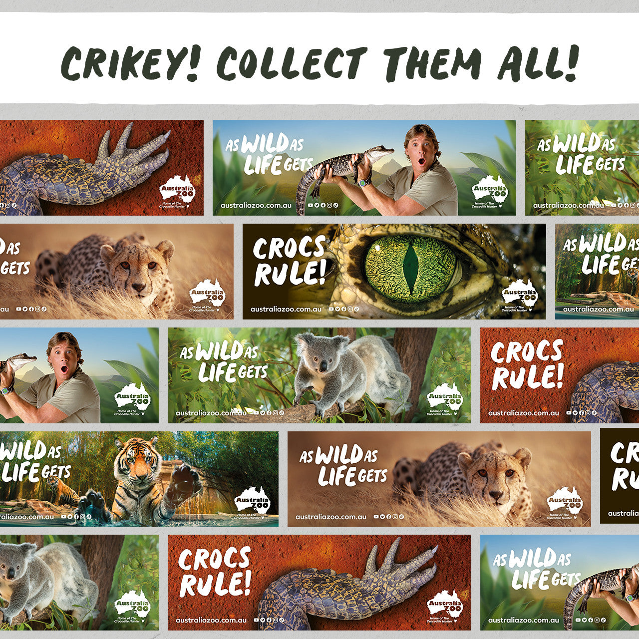 As Wild as Life Gets Cheetah Sticker