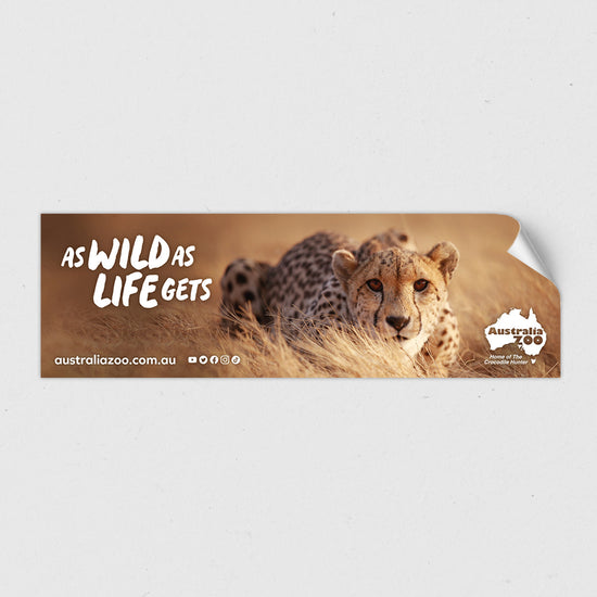 As Wild as Life Gets Cheetah Sticker