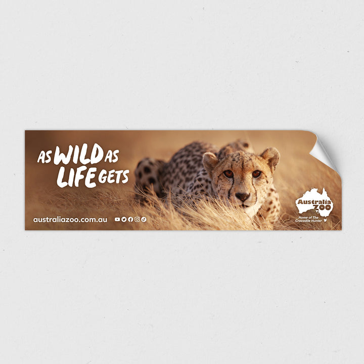 As Wild as Life Gets Cheetah Sticker