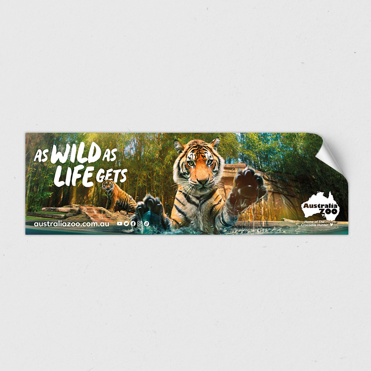 As Wild As Life Gets Tiger Sticker