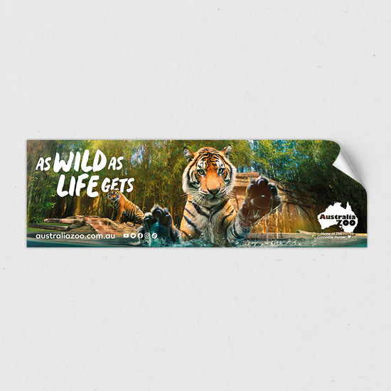 As Wild As Life Gets Tiger Sticker