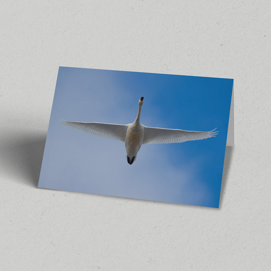 Land Gift Pack of 10 Greeting Cards