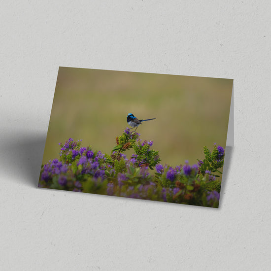 Land Gift Pack of 10 Greeting Cards
