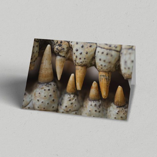 Land Gift Pack of 10 Greeting Cards