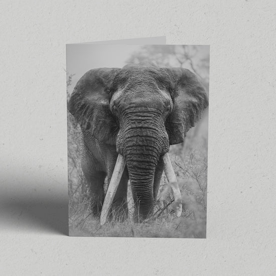Land Gift Pack of 10 Greeting Cards