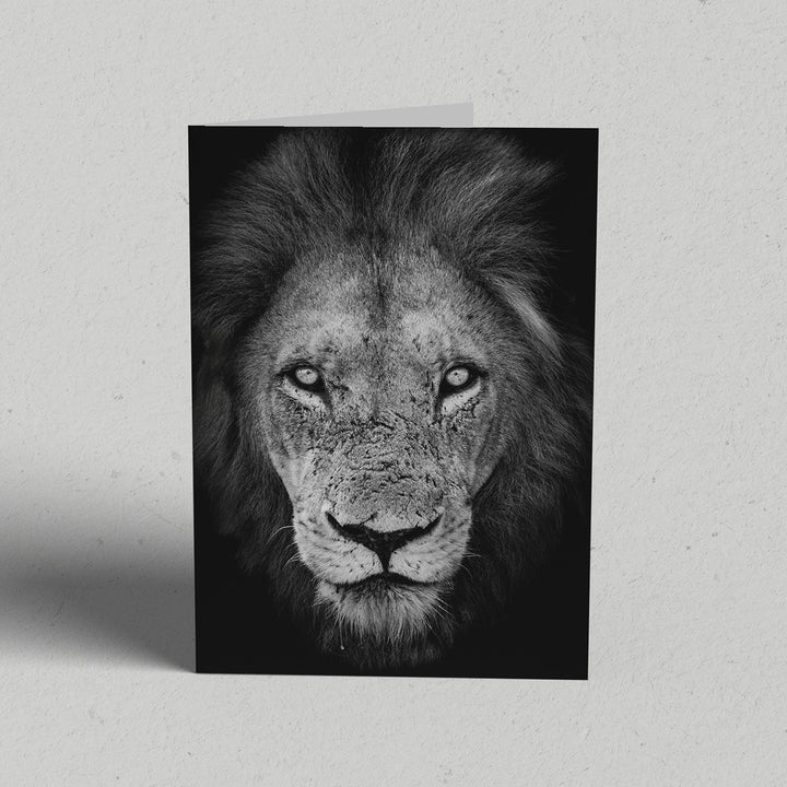Male Lion Greeting Card