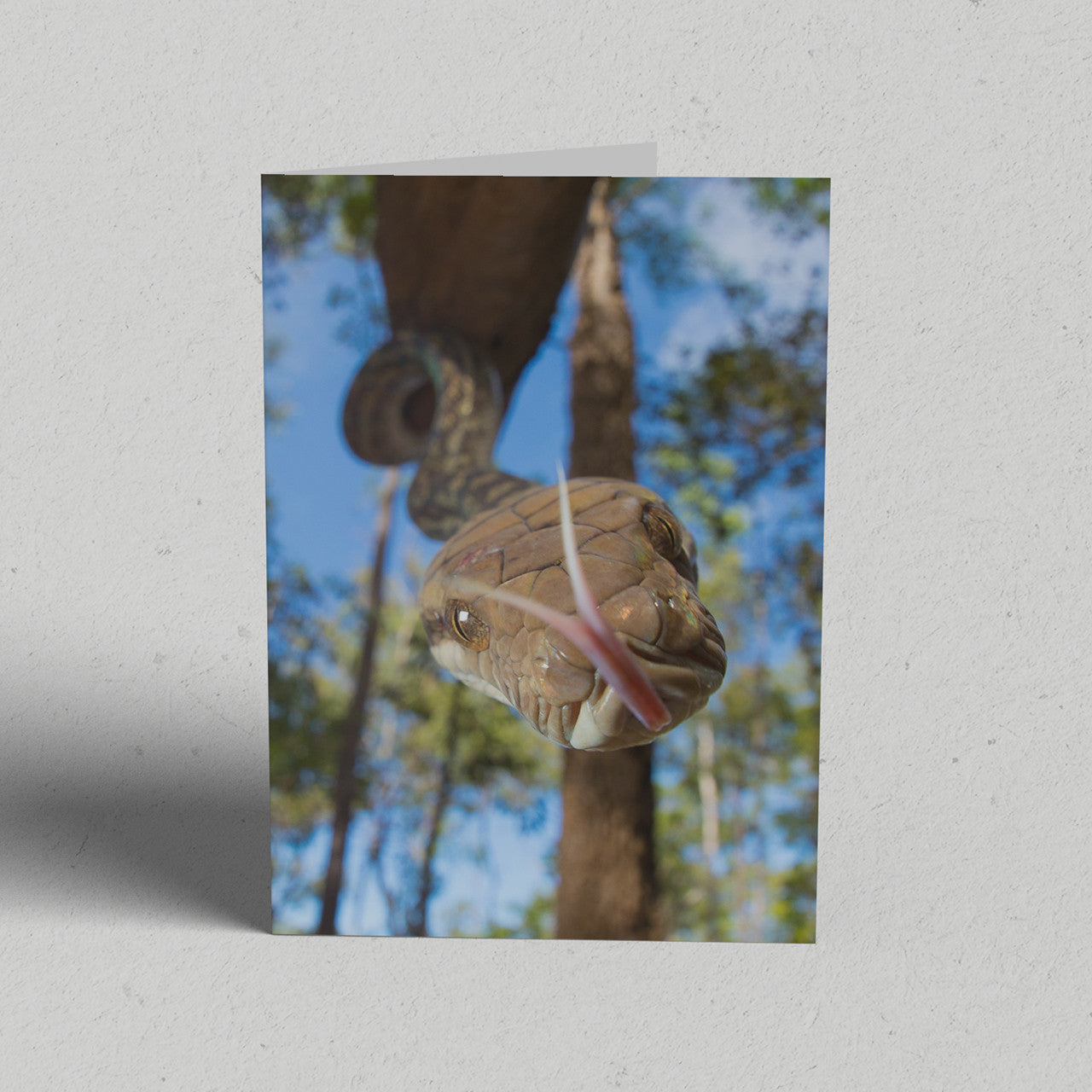 Land Gift Pack of 10 Greeting Cards