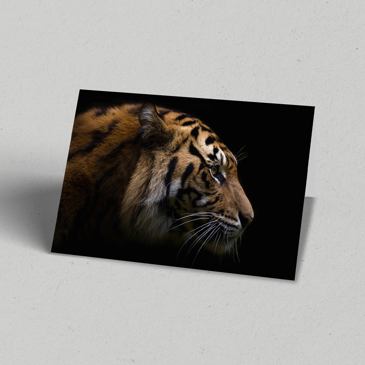 Land Gift Pack of 10 Greeting Cards
