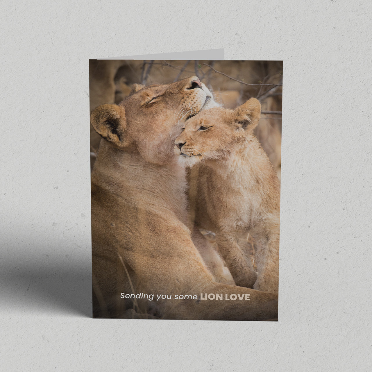 Lion Love Greeting Card