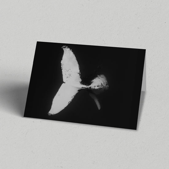 Whale Tail Greeting Card