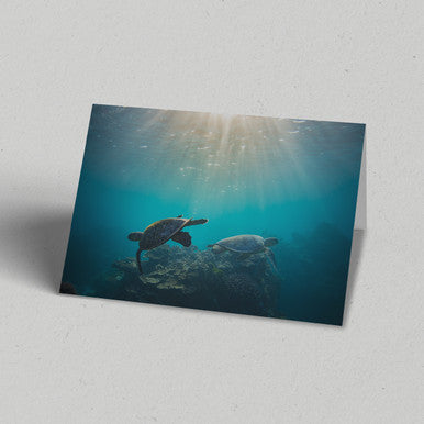 Turtles Swimming Greeting Card