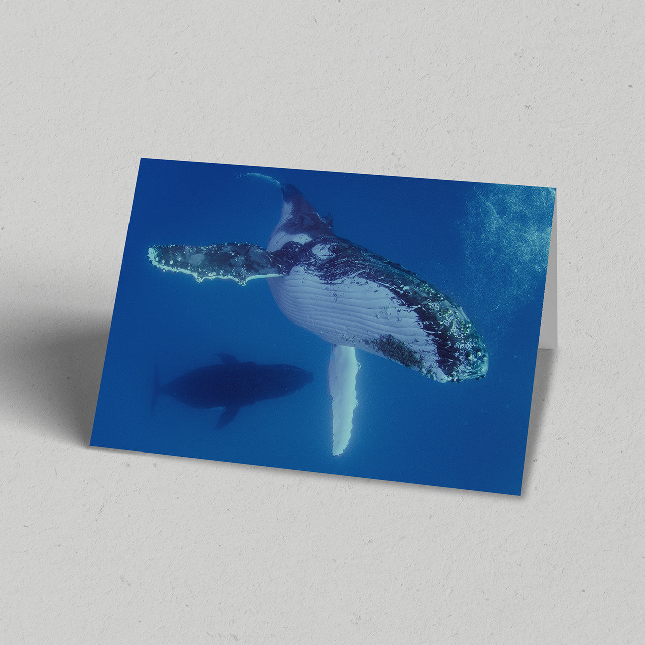 Whale Bubbles Greeting Card