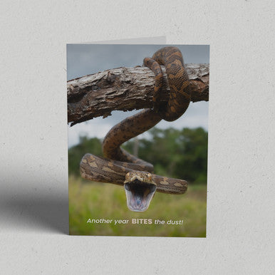 Bite the Dust Greeting Card