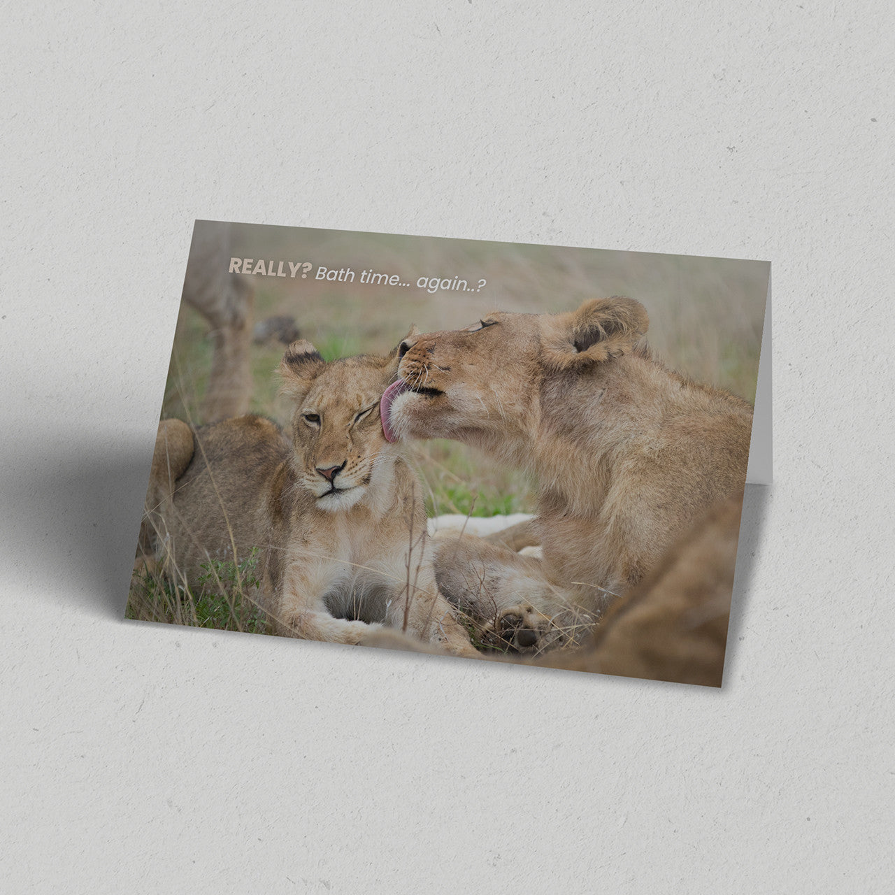 Bath Time Greeting Card