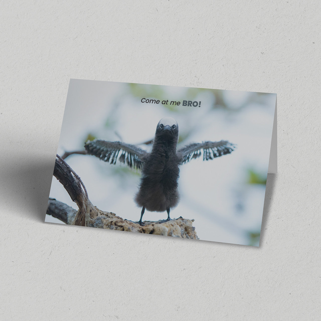 Come at Me Bro Greeting Card