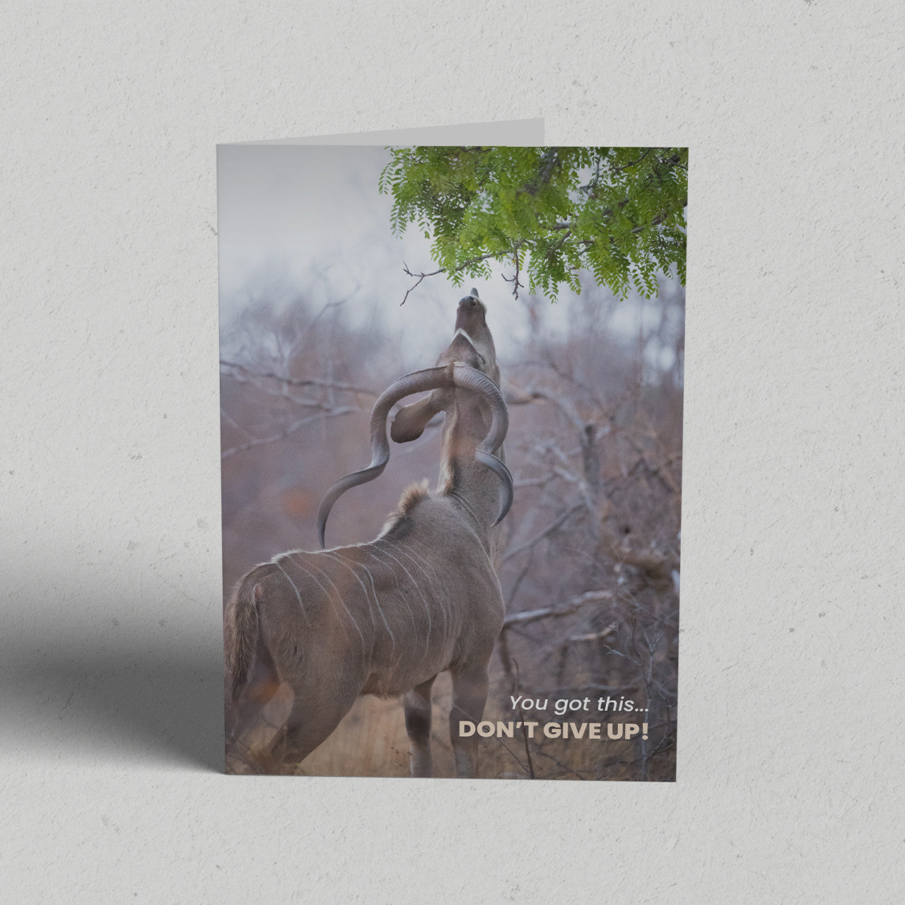 Don't Give Up Greeting Card