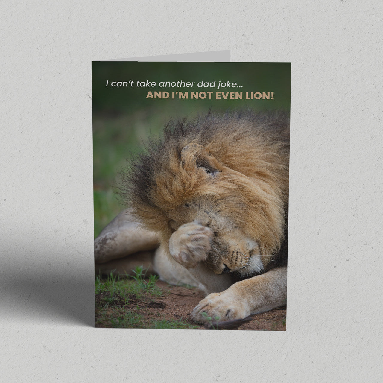 Happy Father's Day Greeting Card